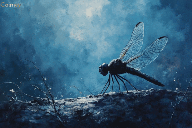 dragonfly-capital-pledges-legal-defense-against-doj-allegations