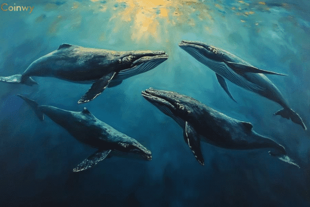 mysterious-7-siblings-whale-group-ethereum-sale