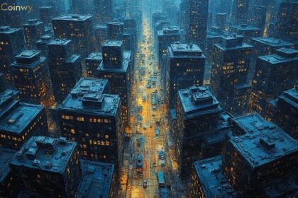 Bitcoin Network Congestion and Its Impact