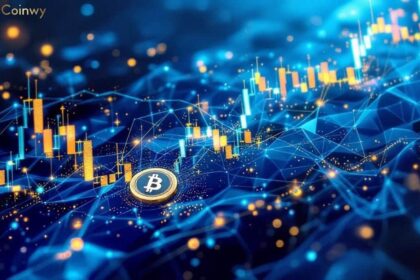 Bitcoin Cash Trading and Market Dynamics