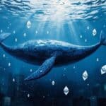 Ethereum Whale Transfers 5,000 ETH to Binance